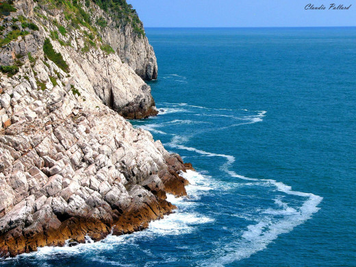 40563 (a): :1600x1200